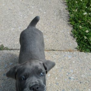 Meet your Posher, Jonathan